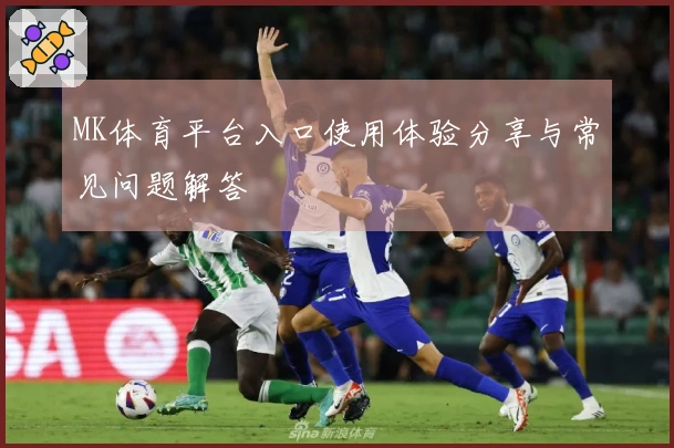 MK体育平台入口使用体验分享与常见问题解答