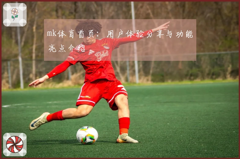 mk体育首页：用户体验分享与功能亮点介绍